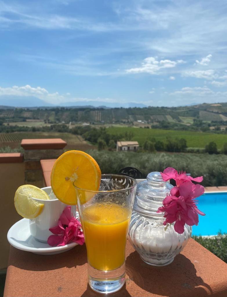 Il Podere Degli Asinelli Città Sant'Angelo Esterno foto