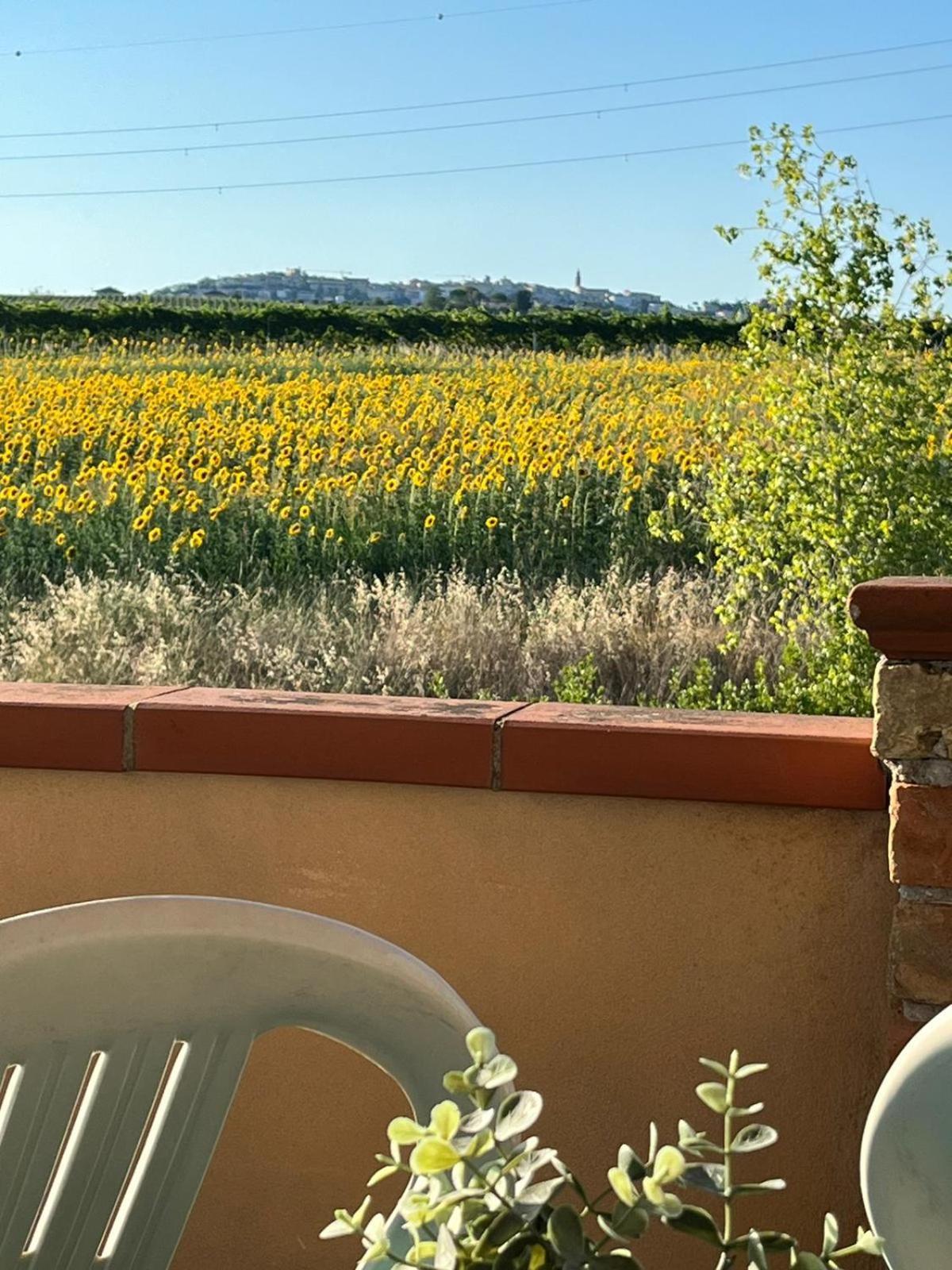 Il Podere Degli Asinelli Città Sant'Angelo Esterno foto